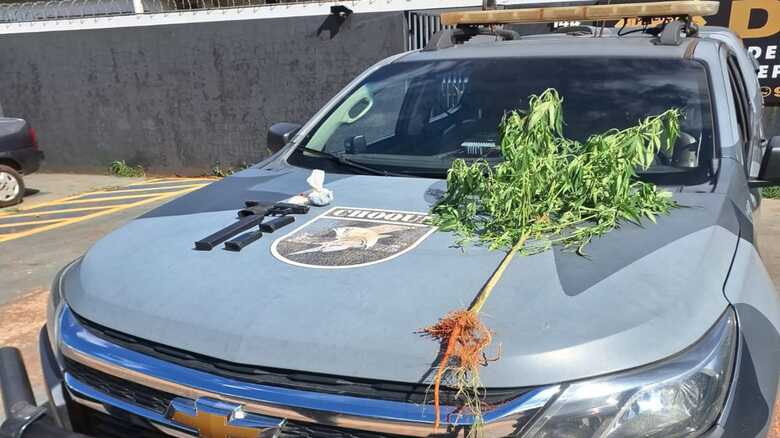 Arma, muni&ccedil;&otilde;es e o p&eacute; de maconha apreendidos