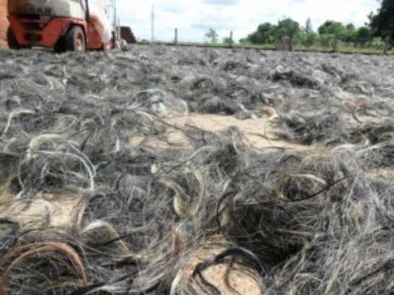 Pêlos secavam no solo e havia escorrimento de resíduos. (Foto: Divulgação)