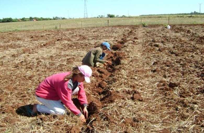 Quem comprava o terreno tinha facilitação dos funcionários
