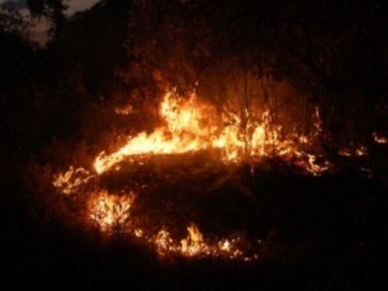 Incêncio ácaba com vegetação nativa