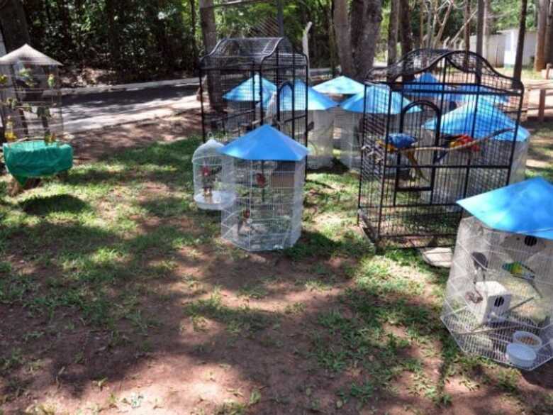 Apreensão de aves