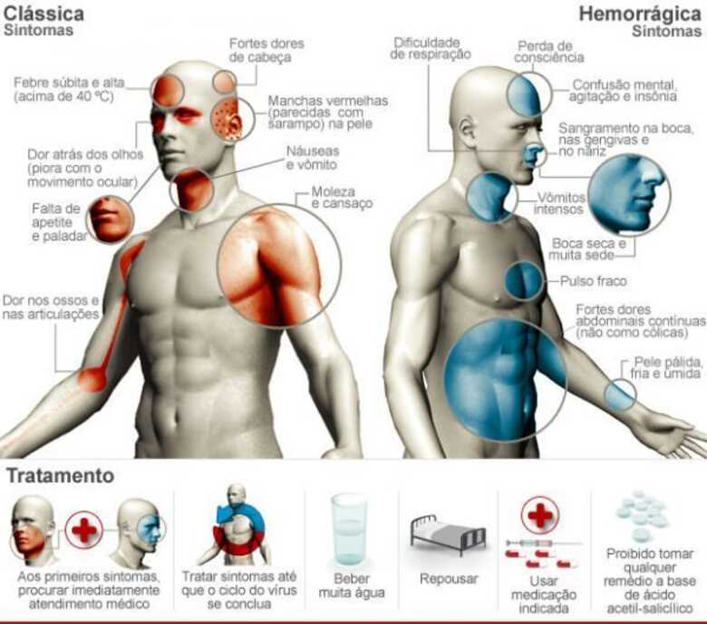 Entenda a dengue