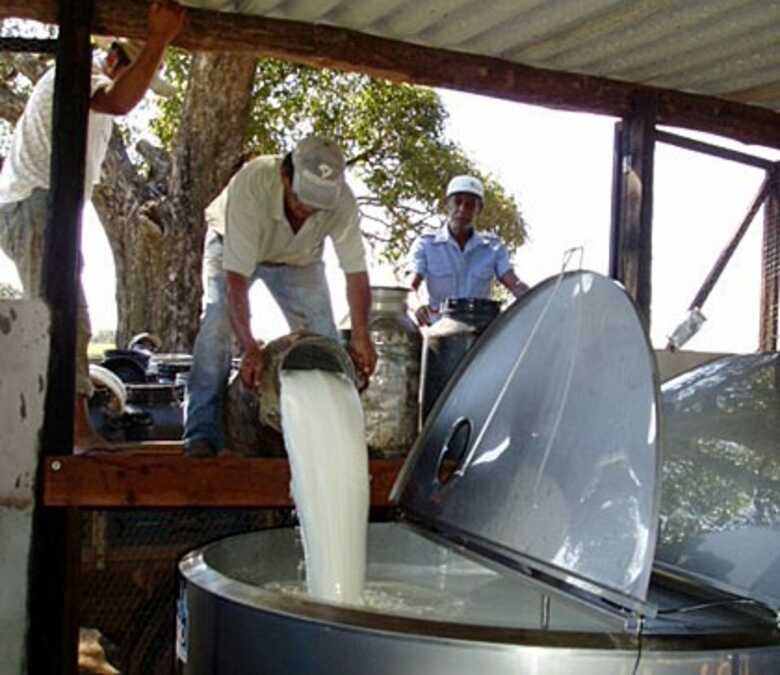Agricultura familiar está concentrada na pecuária leiteira