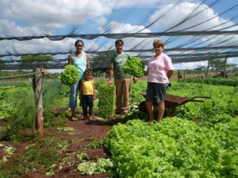 Mato Grosso do Sul conta atualmente com 72.717 agricultores familiares