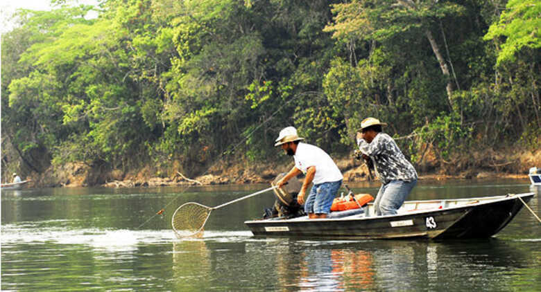 Peca em Mato Grosso do Sul está liberada mas há restrições