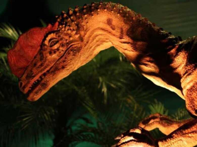 Dinossauros em tamanho real serão montados nos altos da Afonso Pena.