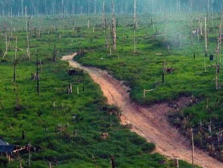 A meta do governo é reduzir o desmatamento na Amazônia para 3,9 mil quilômetros quadrados até 2020.