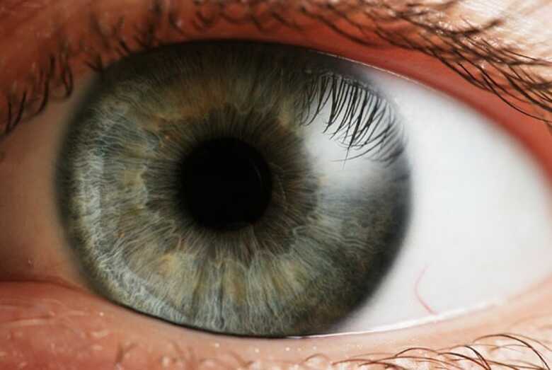 De acordo com especialistas, parte mais difícil do projeto é fazer com que lentes permitam oxigenação do olho. (Foto: Petr Novák, Wikipedia)