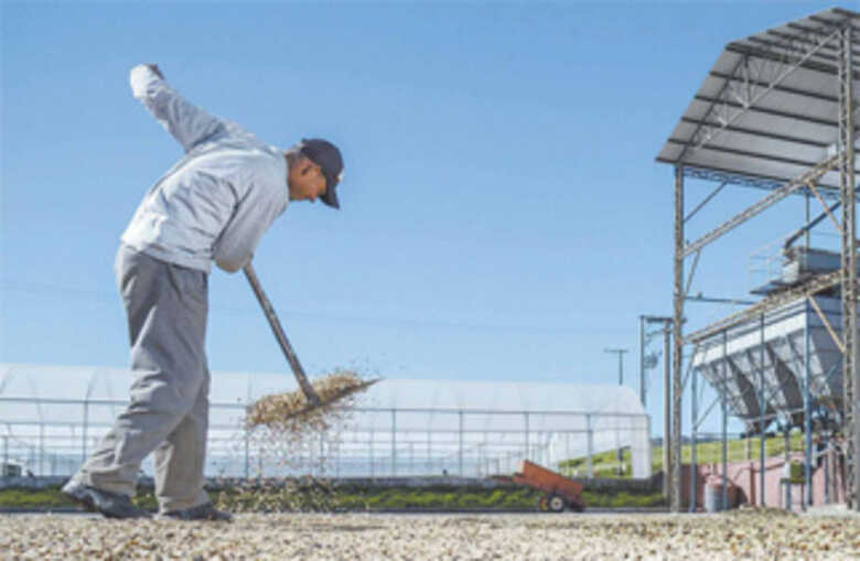 Os cenários variam de acordo com as regiões do país. A carência por mão de obra é maior no Nordeste. (Foto: Paulo Fridman/Bloomberg)