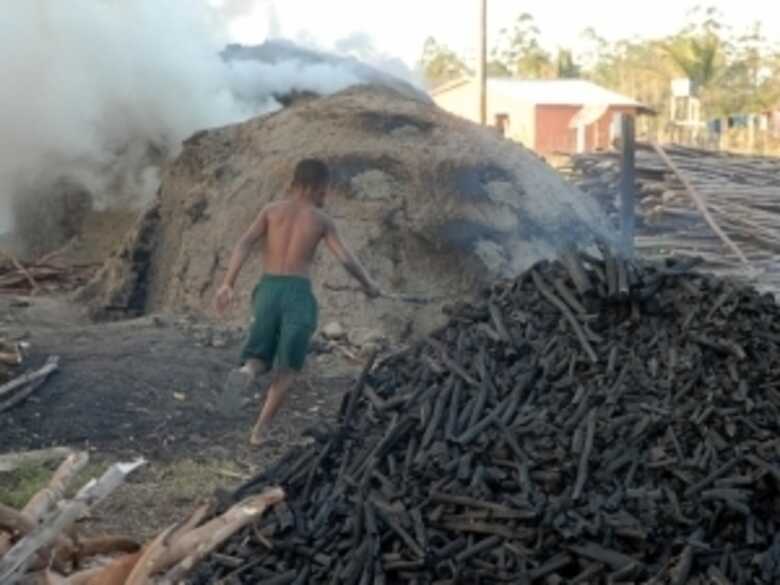 (Foto: reprodução/Agência Brasil)