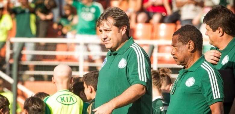 Técnico do Palmeiras, Gilson Kleina quer acesso no Pacaembu. (Foto: Rodrigo Capote/UOL)