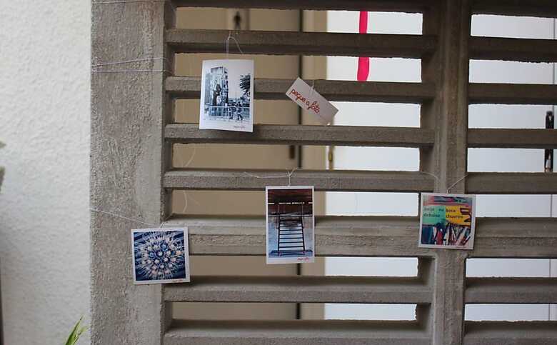No projeto 'Pegue a foto', artistas penduram fotos em árvores e postes de São Paulo. (Foto: divulgação)