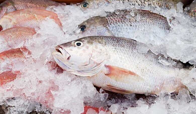 Pescados frescos subiram 12,71%. Foto: Divulgação