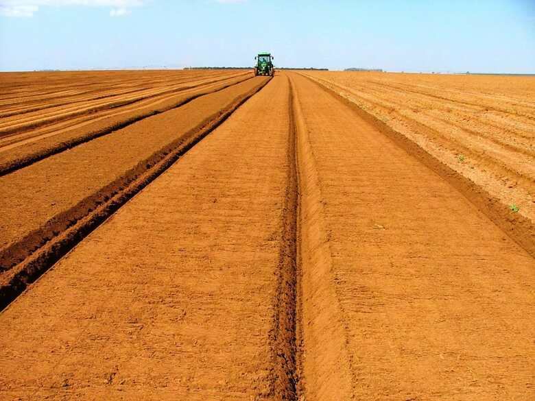 (Foto: reprodu&ccedil;&atilde;o)