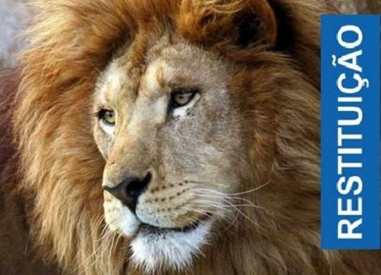 (Arte: reprodu&ccedil;&atilde;o)