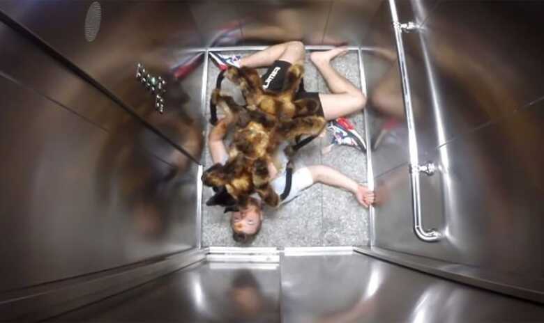 Pegadinha com cão aranha mutante se tornou sensação na internet. (Imagem: reprodução/YouTube/SA Wardega)