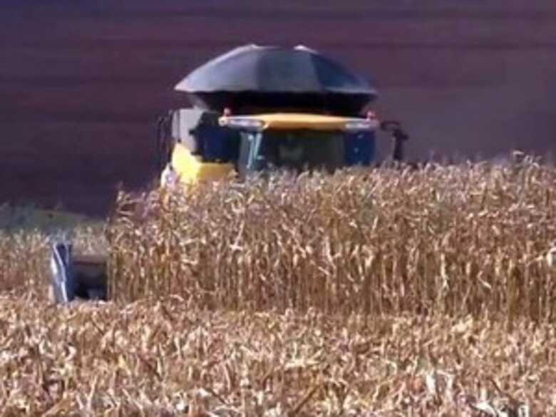 Mesmo com boas condições climáticas, produtores argentinos estão desanimados com questões econômicas. (Imagem: TV Morena)