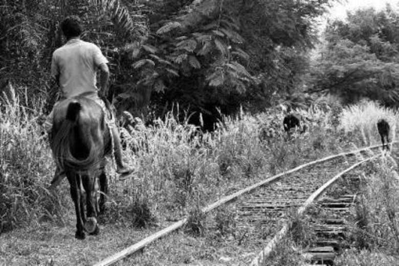 (Foto: &Aacute;lvaro Rezende)