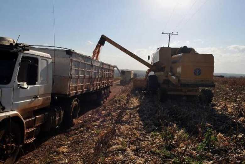 Plantação de soja. (Foto: Valter Campanato/Agência Brasil)