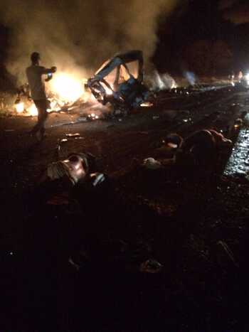 Reprodu&ccedil;&atilde;o