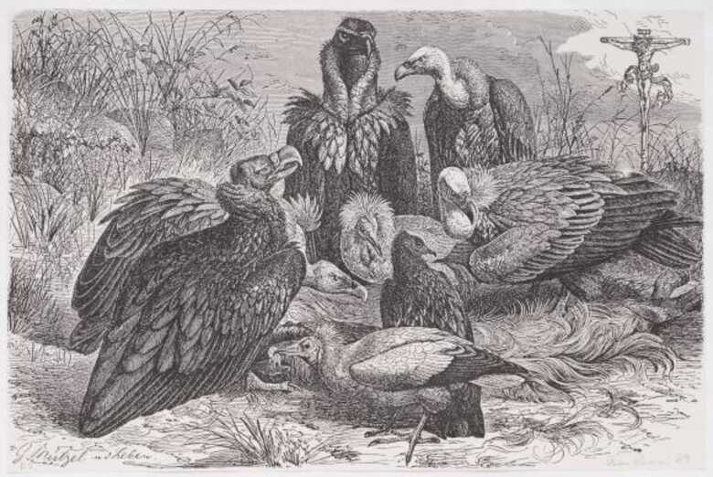 Exposi&ccedil;&atilde;o dee Le&oacute;n Ferrari no Masp re&uacute;ne mais de 80 obras (Imagem: Eduardo Ortega)