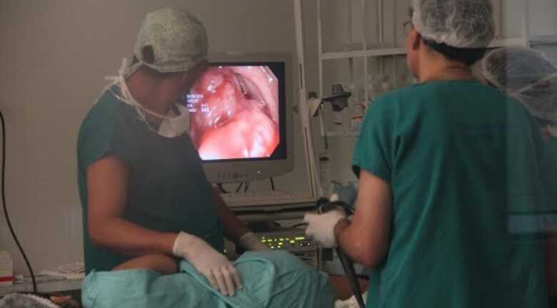 O exame de endoscopia trata dos diagnósticos das vias digestivas altas, como o estômago e esôfago, já o exame de colonoscopia é destinado a verificar as condições do intestino.