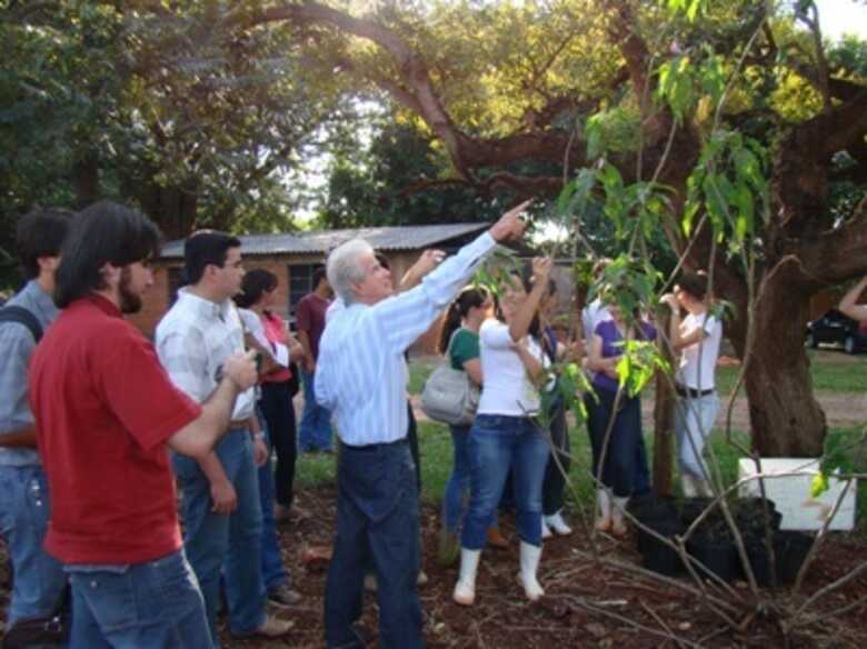 Plantas serão usadas em pesquisas