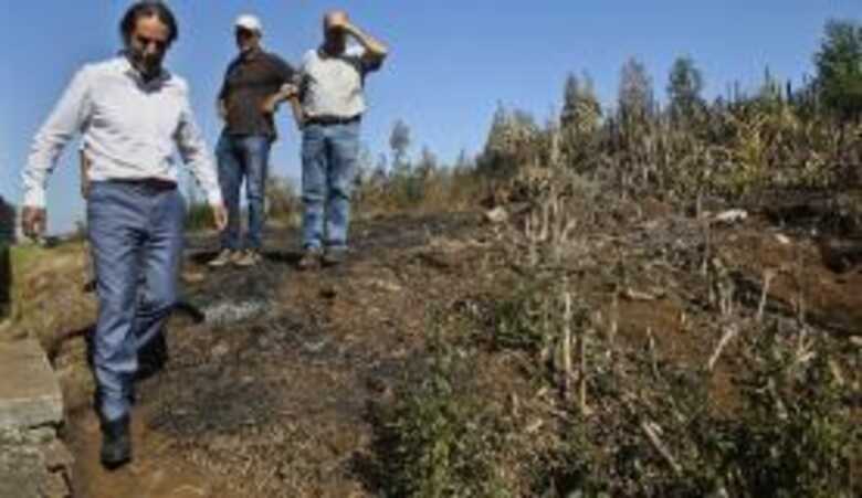 Autoridades visitam &aacute;rea atingida por inc&ecirc;ndio em Portugal