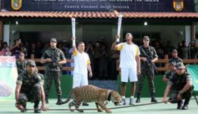 O Comitê Organizador da Rio 2016 admitiu que errou ao permitir a exibição da onça Juma durante o evento da passagem da tocha olímpica em Manaus
