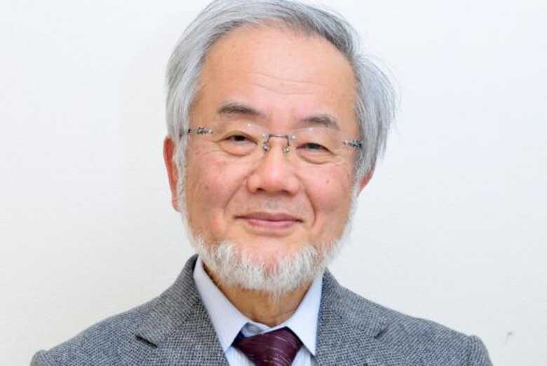 O cientista japonês Yoshinori Ohsumi ganhou o Prêmio Nobel de Medicina de 2016 pela sua descoberta do mecanismo de autofagia
