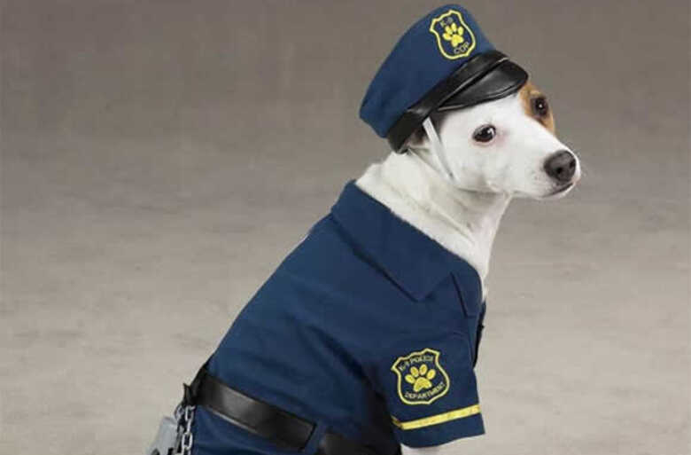 A imagem apesar de bonitinha, é para abordar um assunto sério