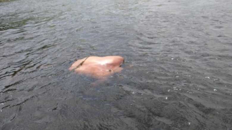 Corpo foi encontrado na manhã de hoje, no Rio Cachoeira