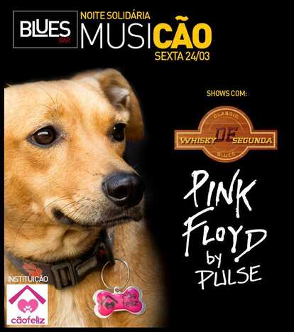 Dinheiro do evento ajudar&aacute; no tratamento dos animais que est&atilde;o na institui&ccedil;&atilde;oq