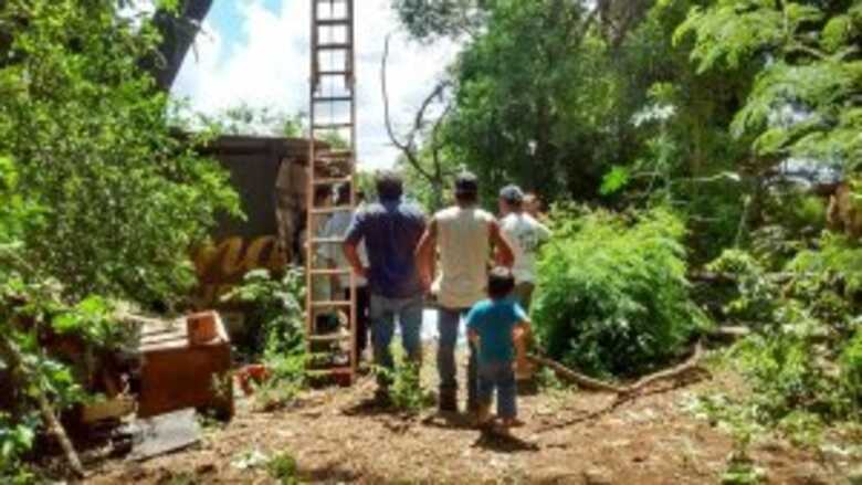 Homem fazia a poda de árvore quando foi atingido pelo galho