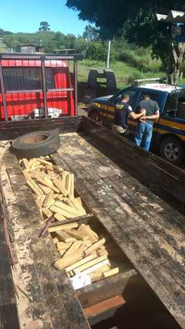 Maconha saiu do munic&iacute;pio de Juti (MS)