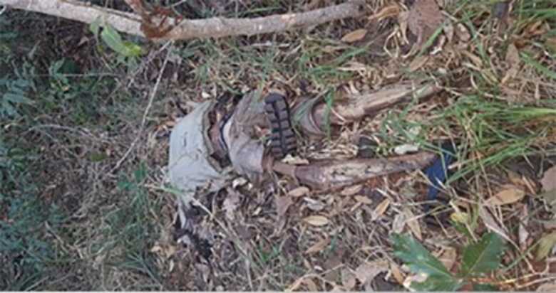 Ossada foi encontrada no m&ecirc;s passado