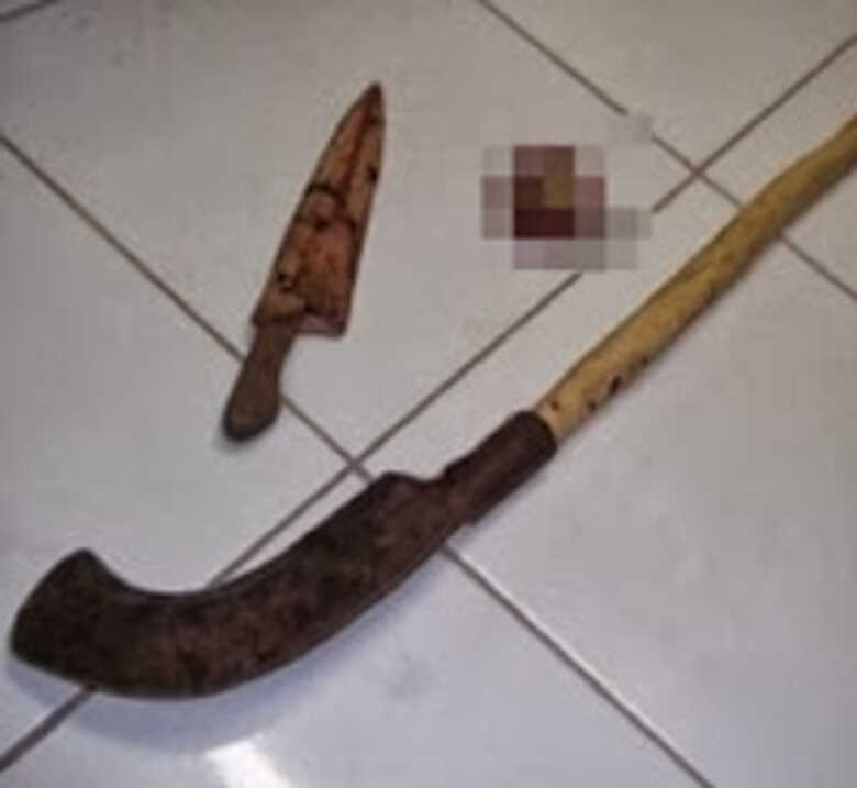 Ilustra&ccedil;&atilde;o