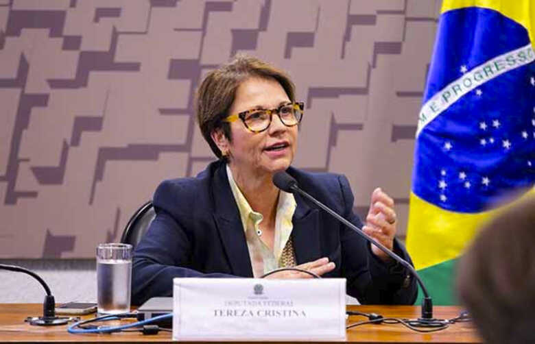 Deputada federal Tereza Cristina (DEM-MS)