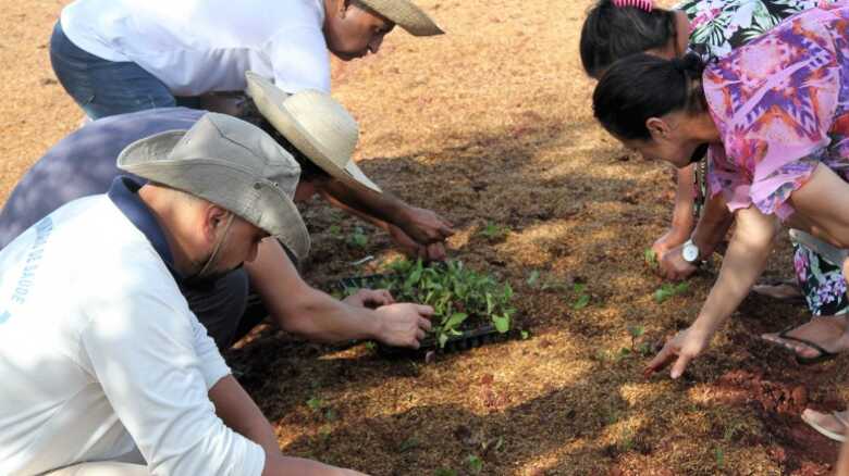 Ciclo de palestras apresenta oportunidades de mercado para Agricultura Familiar