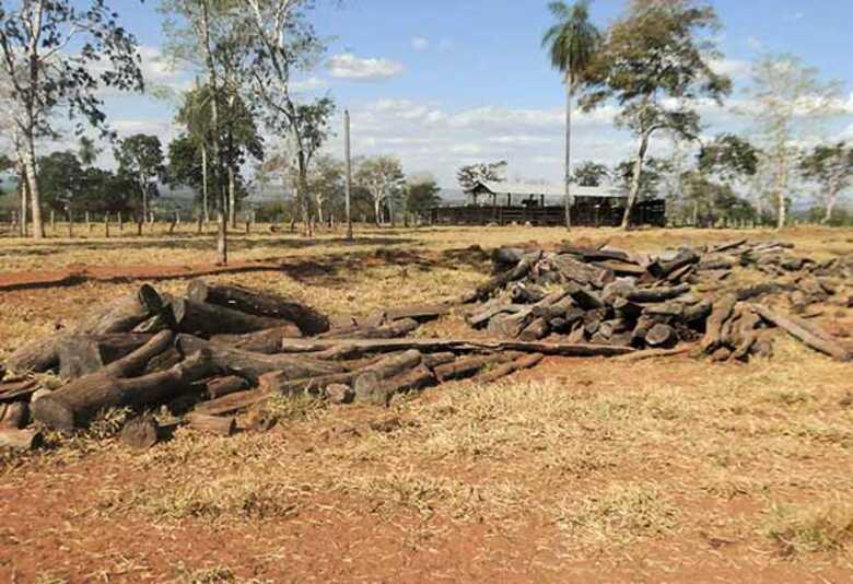 Desmatamento ilegal em propriedade rural de Nioaque