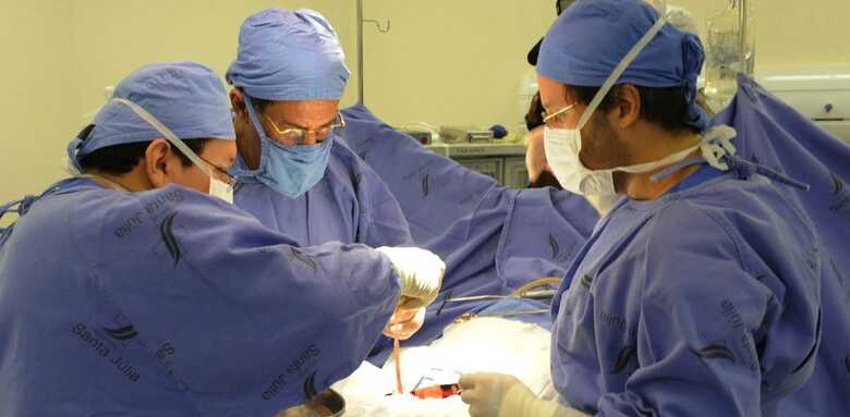 A projeção é que 26,4 mil órgãos e tecidos sejam transplantados no país até o fim deste ano