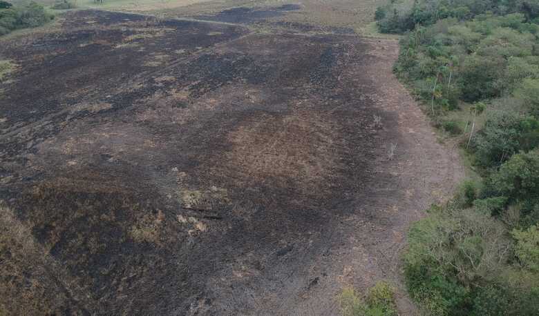 A emissão de licença para queimada está proibida até o dia 30 de setembro e 31 de outubro no Pantanal