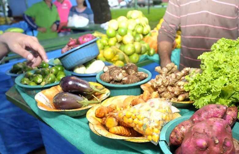 Em Campo Grande, 15 famílias agrícolas cultivam alimentos e comercializam nas feiras