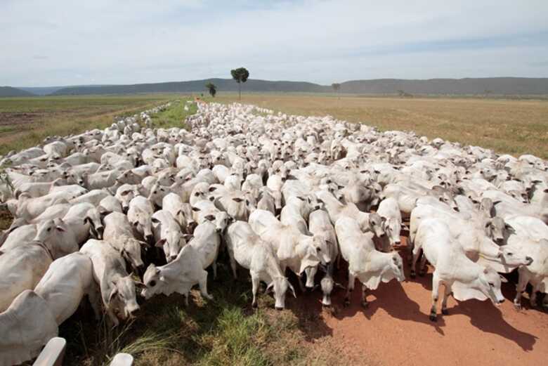 Mato Grosso do Sul passa a ter 25% dos R$ 9,7 bilhões distribuídos entre os três estados e o Distrito Federal