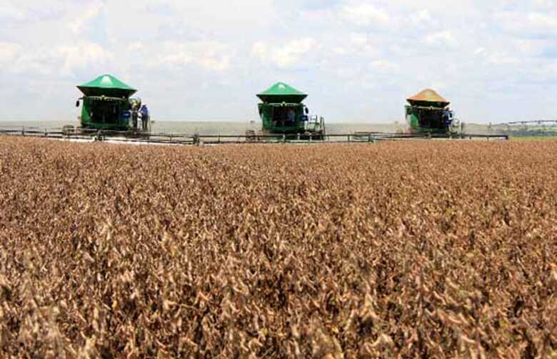 O plantio de soja em todo país foi aberto na última segunda-feira