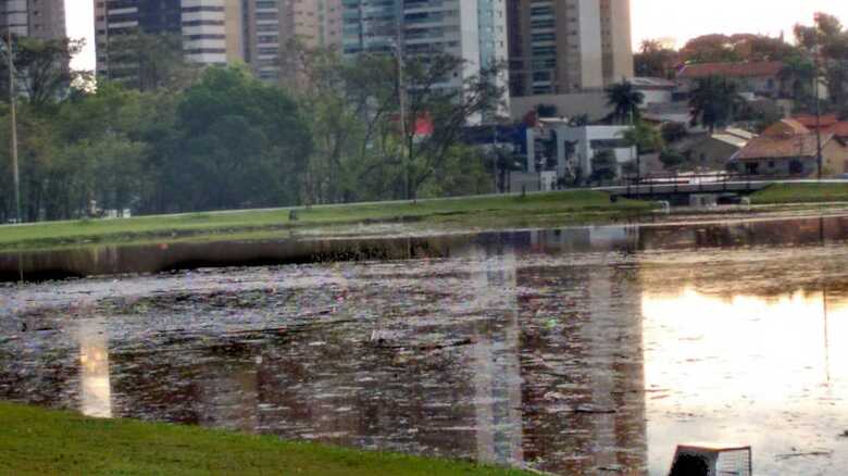 Diversas árvores do parque caíram, segundo o Imasul