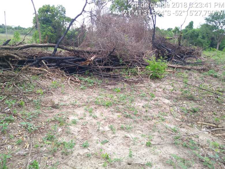 Ele também poderá responder por crime ambiental, que prevê pena de seis meses a um ano de detenção