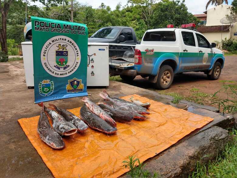 O proprietário do pescado alegou que recebera os peixes de um pescador, residente no Distrito de Piraputanga e venderia o produto por R$ 20,00 o quilo