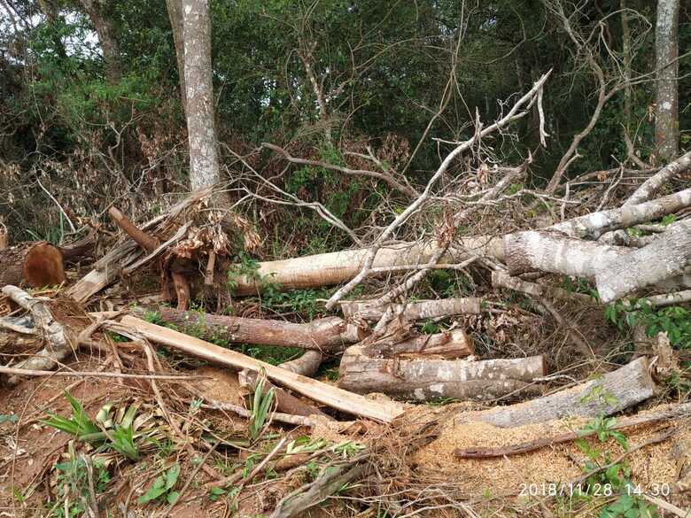 Ele também responderá por crime ambiental, que prevê pena de um a três anos de detenção