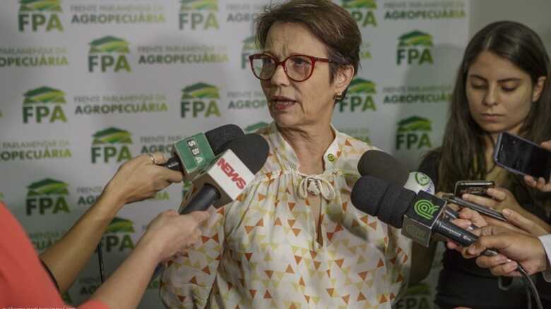 A presidente da Frente Parlamentar da Agropecuária disse que o texto não agradou os produtores ruais por "complicar a atividade econômica do Pantanal"